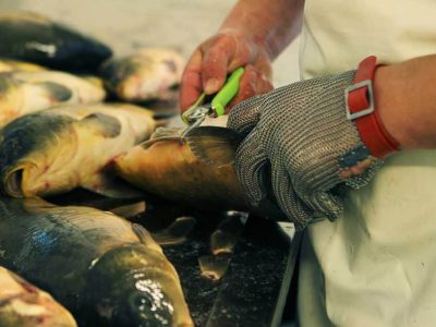 Ecaillage des carpes en atelier