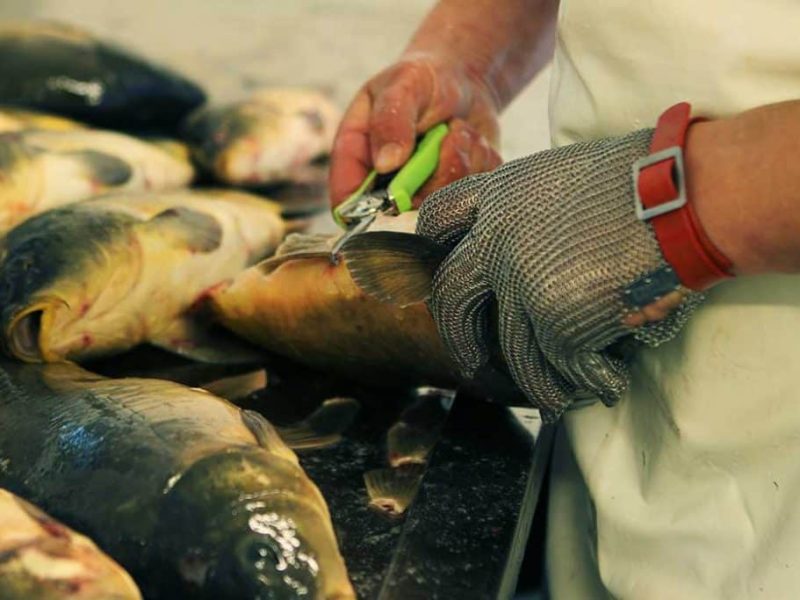 Ecaillage des carpes en atelier
